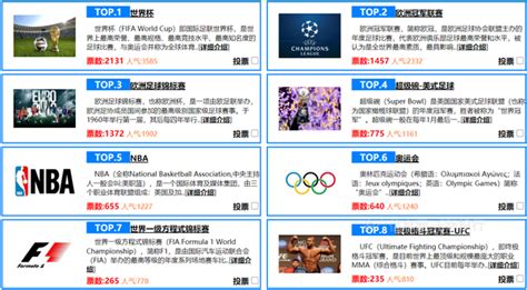 体育赛事市场分析报告_2017-2023年中国体育赛事市场研究与产业竞争格局报告_中国产业研究报告网