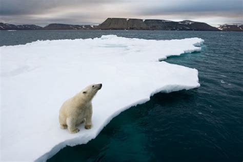 俄罗斯将北极视为“安全堡垒”，气候变暖导致冰川融化让其面临何种威胁？_凤凰网视频_凤凰网