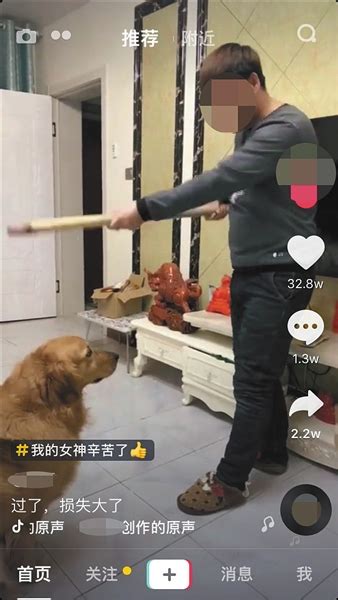 快手十大网红狗-排行榜123网