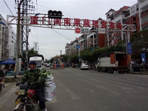 福建同安闽南果蔬批发市场在哪里_怎么走-公交线路-淘金地农业网