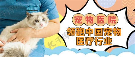 宠物医院猫黄色创意公众号首图海报模板下载-千库网