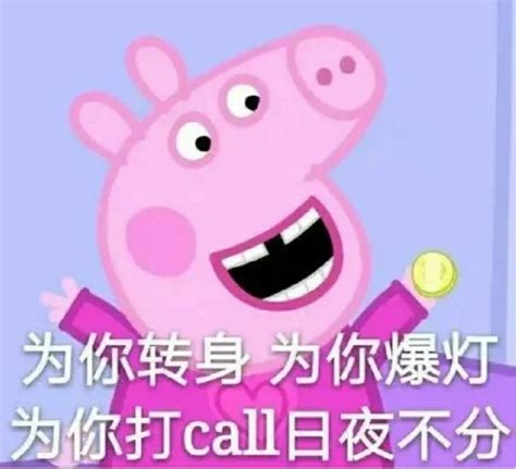 表情包佩佩图片