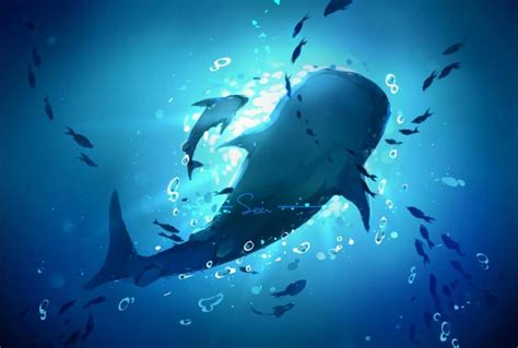蓝鲸吃什么食物（一天5吨食物，一顿200万只磷虾，蓝鲸的胃口究竟有多大？） | 说明书网
