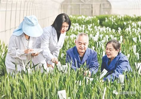 精准营销及推广，不想多花钱，精准营销到底有多难-猎富团