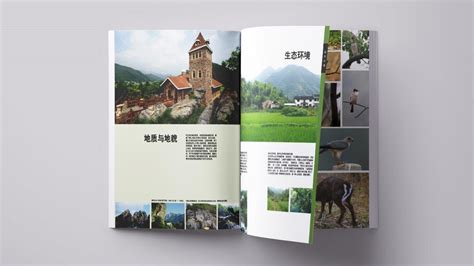 心族-黄山茶林场规划项目品牌视觉设计｜摩尼视觉原创