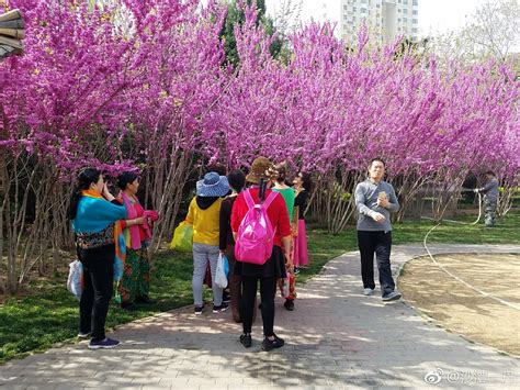 一舟影像:春天的紫荆山公园 原来可以这么美