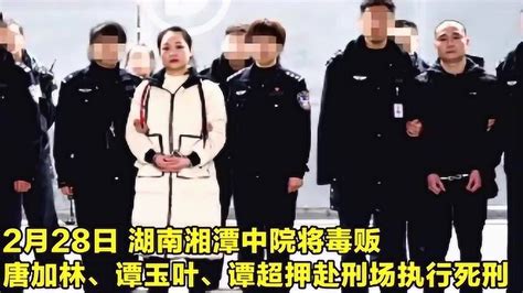 贩毒均超过10公斤！2男1女3名毒贩在湖南湘潭被执行死刑_腾讯视频