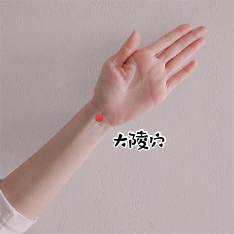 大陵穴位位置图图片