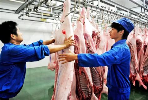 猪肉市场供需两旺市民正在选购猪肉。 | 武隆网