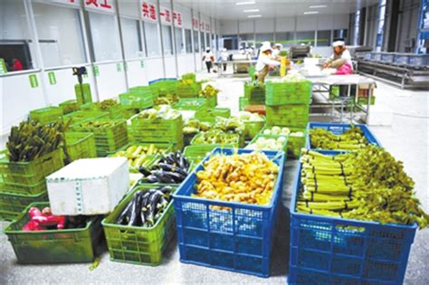 小型蔬菜加工厂图片,蔬菜工厂,净菜加工(第5页)_大山谷图库