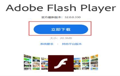 flash在哪里更新-更新位置分享-圈圈下载