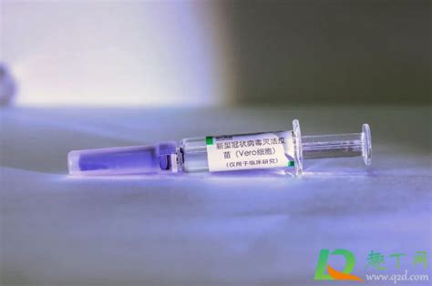 新冠疫苗需要打加强针吗-新冠疫苗加强针有必要打吗-趣丁网