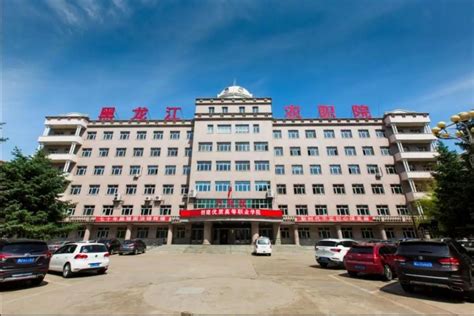 中国黑龙江农业官员：希望加强与俄罗斯农业企业的合作 - 2015年6月17日, 俄罗斯卫星通讯社