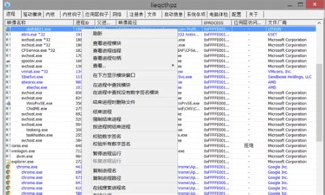 【PCHunter官方下载】PCHunter下载32位 v1.51 中文绿色版-开心电玩