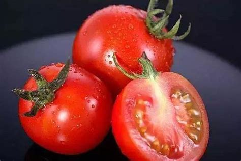 西红柿一亩地的产量一般是多少斤？ - 农业种植网