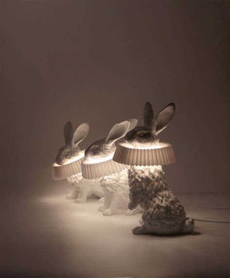 兔子灯，带您进入温暖的梦想世界 - 普象网