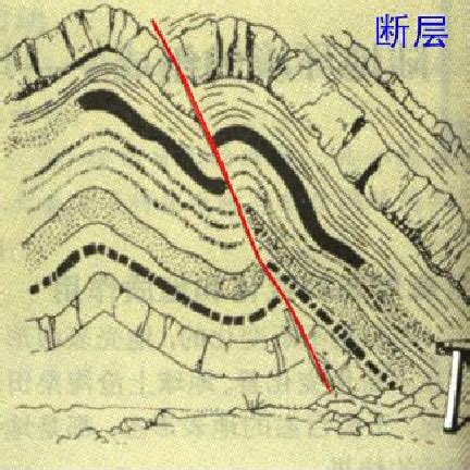 断层示意图图片