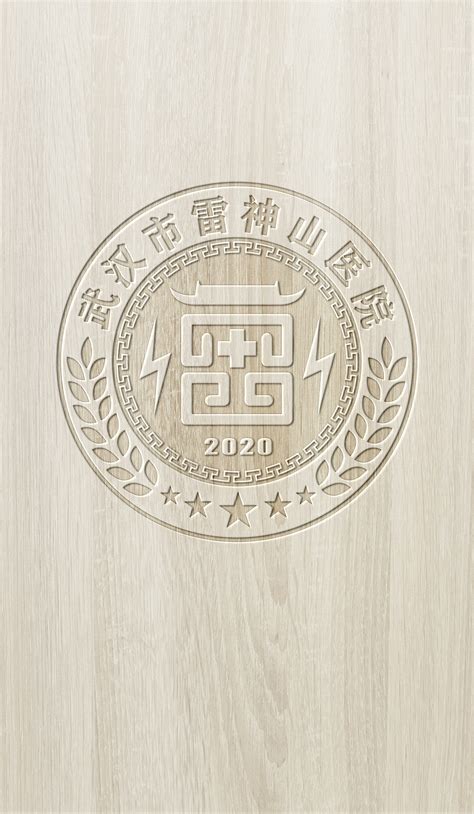 武汉市雷神山医院logo标志|平面|标志|许彦辉 - 原创作品 - 站酷 (ZCOOL)