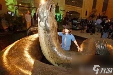 远古十大巨蛇-非洲巨蟒上榜(体重可达到六百公斤)-排行榜123网