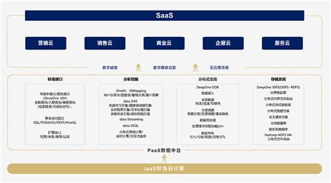 上海珍岛网络SCRM助力金融行业数字化转型_凤凰网