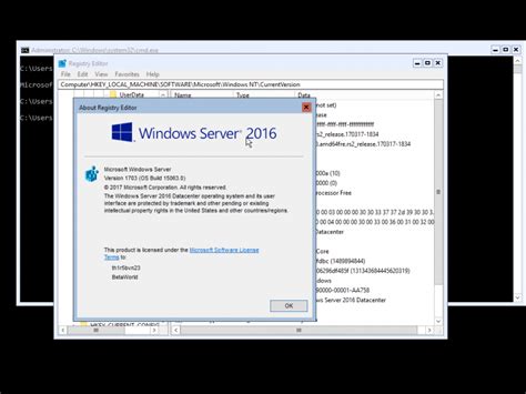 Windows Server 2016:10.0.15063.0.rs2_release.170317-1834 - BetaWorld 百科