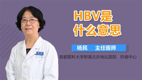HBV是什么意思-有来医生