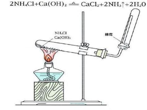初中化学 九年级 上学期（人教版） -二氧化碳制取的研究