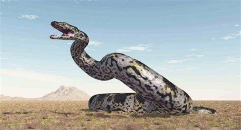 远古蟒蛇最大有多大，泰坦蟒长达12米（体重超过1吨） - 新埭经验网