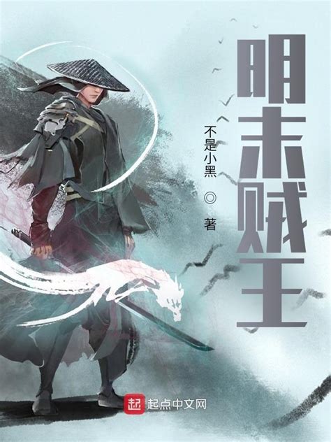 《明末贼王》小说在线阅读-起点中文网