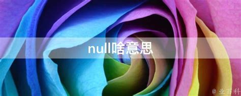 null啥意思 - 业百科