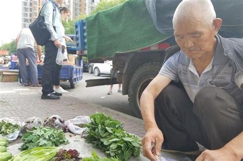 7旬老人在路边卖野菜，种类齐全数量不多卖完就走