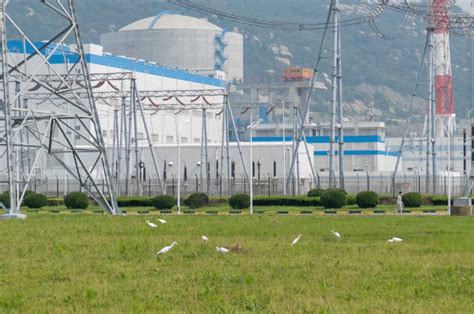 田湾核电两机组建设战正酣 - 能源界