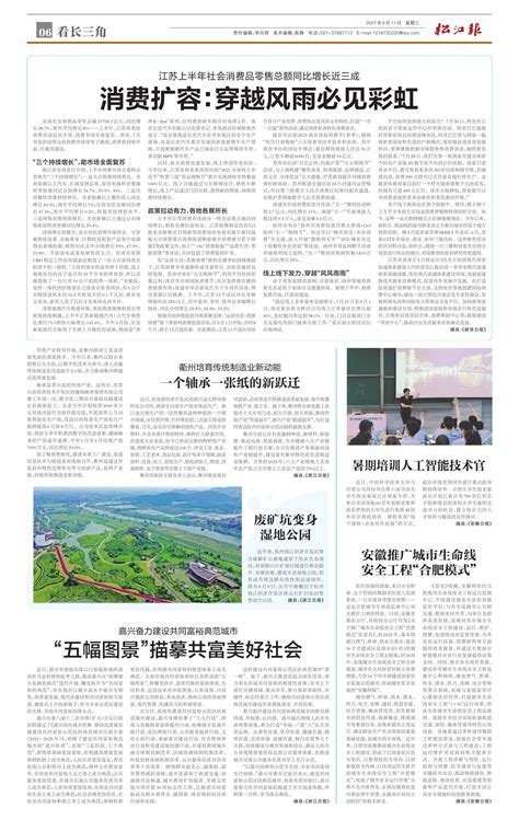 安徽推广城市生命线安全工程“合肥模式”--松江报