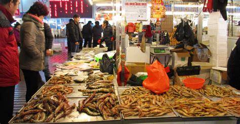 深冬打卡青岛海鲜市场，鼓眼鱼35老板鱼17一斤，货多批发最划算_海货_食材_鲳鱼