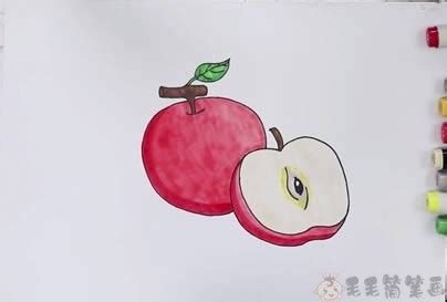 苹果的简单画法,苹果简笔画步骤图 - 毛毛简笔画
