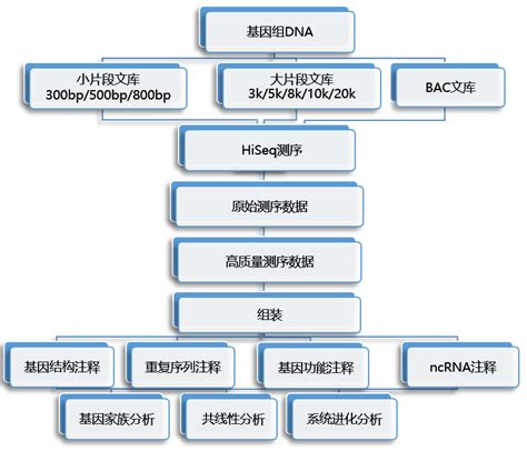 宏基因组/宏转录组测序 - 宏基因组测序 - 四川博贝特生物科技有限公司(Biobit Biotech Inc.)