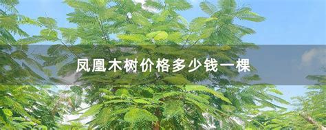 八宝景天价格-花木行情-中国花木网