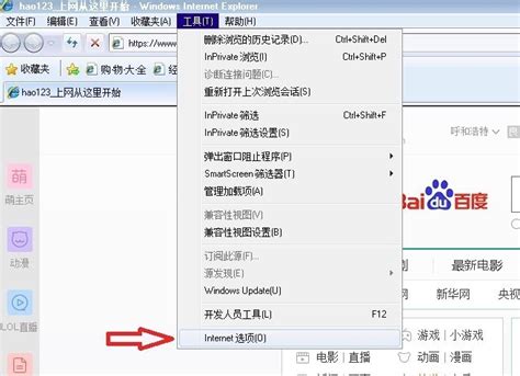 IE8下载-Internet Explorer(IE8) for Windows XP8.0 官方中文正式版-东坡下载