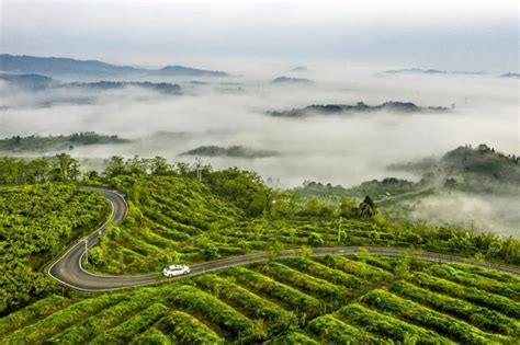 广安2022年春节去哪玩，年味十足的文旅活动等你来体验！_四川在线