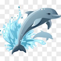 海豚动态矢量图图片素材免费下载 - 觅知网