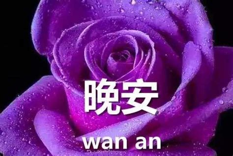 晚上好最新图片