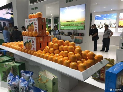 农产品展会-2024广州特色农产品展销会 | 展会动态::网纵会展网