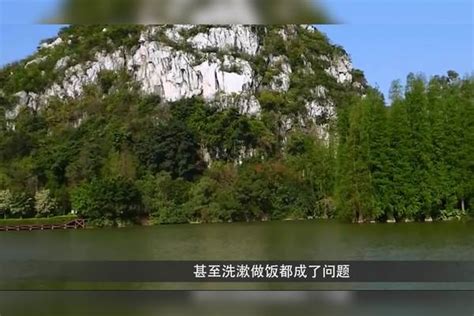 《湿地公约》COP14丨东湖迎来40年最好水质，水下藏着320万平方米“森林”_生态频道_新闻中心_长江网_cjn.cn