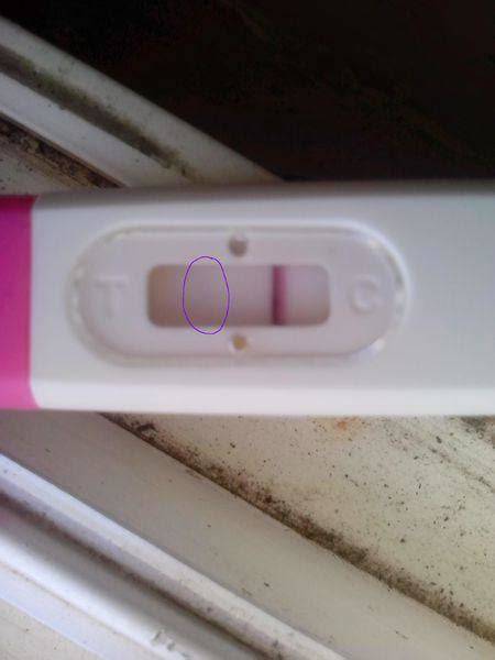 验孕纸测试怀孕显示图怎么看（早孕试纸怎么看？快来接好孕） | 说明书网