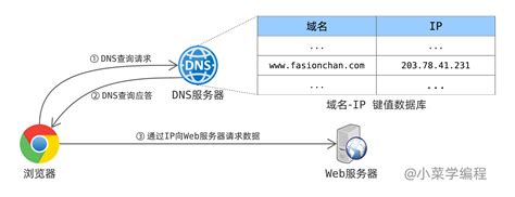 DNS域名系统详解_dns域名结构-CSDN博客