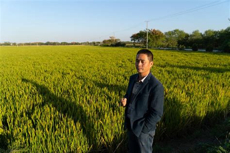 一亩田种出两份钱 这口“田鲜”别样甜