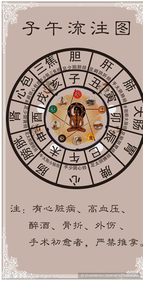 子午流注图图片