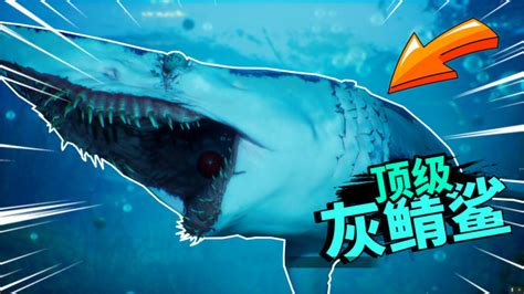 食人鲨：发现变异种族电气大白鲨，我进化成原子牙齿将它吃掉了