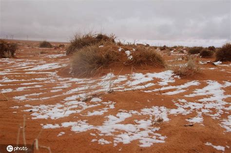 撒哈拉沙漠惊现奇观 竟然下大雪了？_广东频道_凤凰网