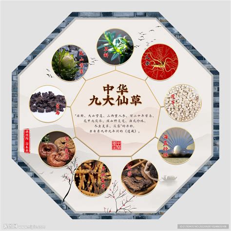 仙草图片